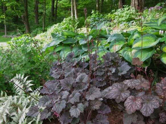 Design Sleuth: The Ultimate Shade Garden