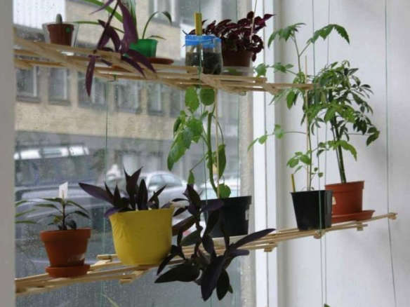 DIY: Instant Hanging Shelves for Houseplants
