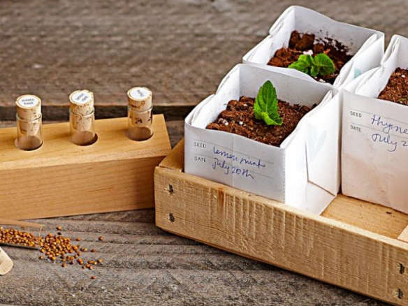 5 Favorites: Planting Pots for Starting Seeds Indoors