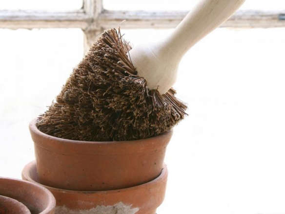 Garden Shed Essentials: Flowerpot Brushes