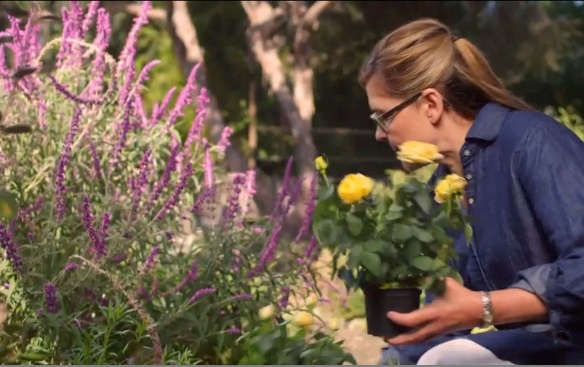 DIY Video: Preparing Your Fall Garden