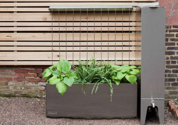 5 Quick Fixes: Collecting Rainwater with Style