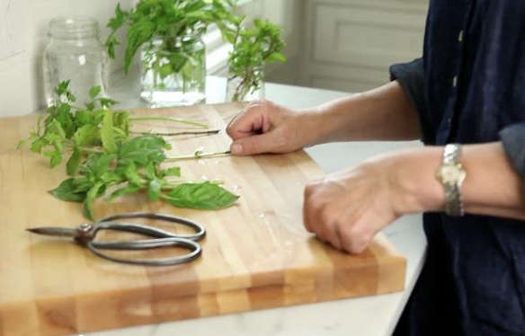 Video: Clone Herbs in Your Kitchen