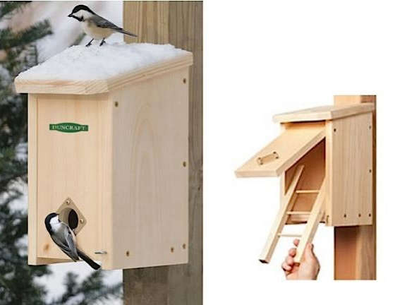 Shelter from the Storm: Winter Roosting Boxes