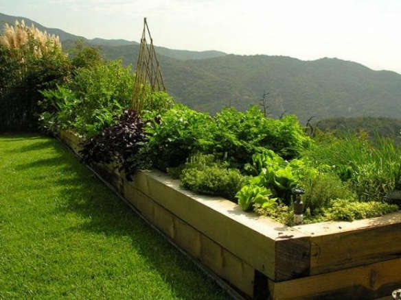 Ask the Expert: How to Create a Beautiful Edible Garden