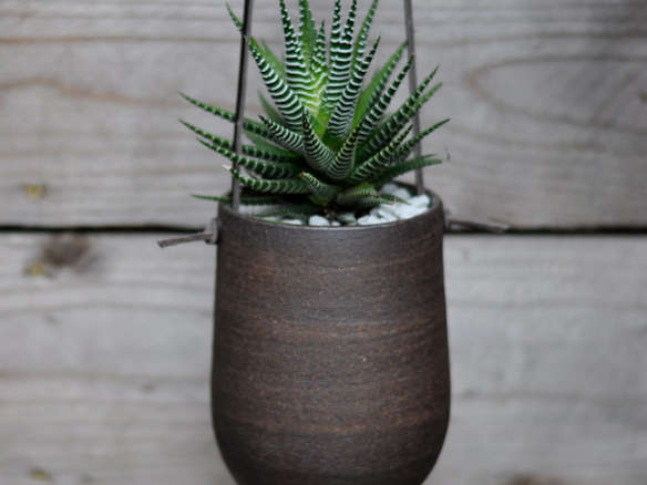 Beautiful Plant Pots from Putikmade