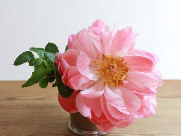 Derby Day Recipe: Take One Julep Cup, Add Mint And…A Peony