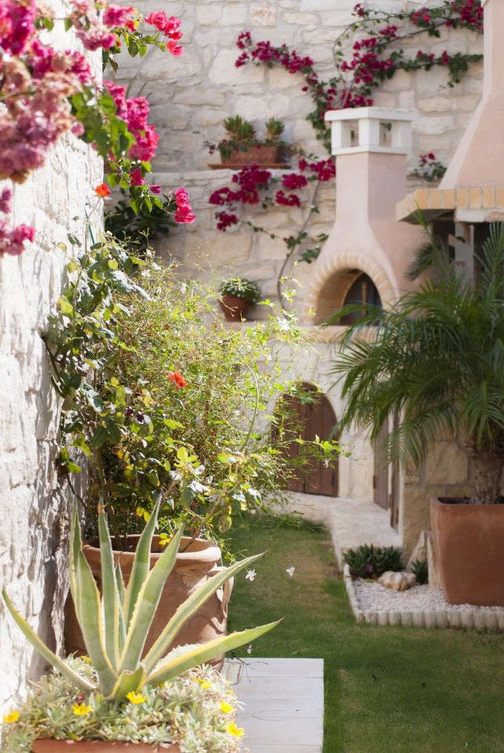 10 Garden Ideas to Steal from Greece - Gardenista