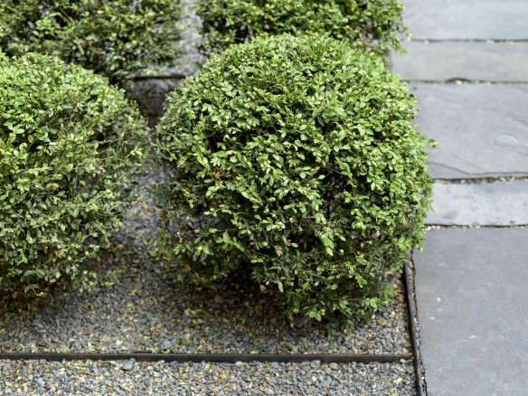 10 Things Your Landscape Designer Wishes You Knew About Gravel (But Is Too Polite to Tell You)