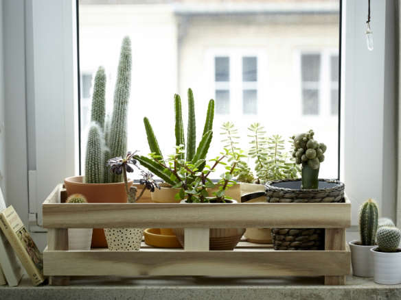 Editors’ Picks: 10 Ikea Favorites for Indoor Gardens