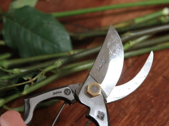 DIY: How to Clean and Care for Garden Pruners