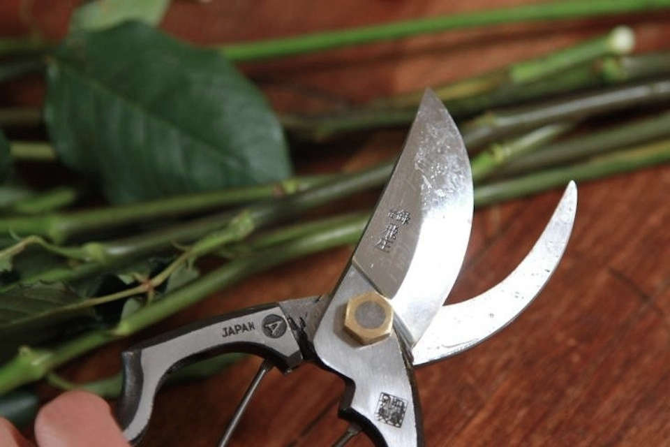 Details about   For Garden Pruning Fruit Tree Nursery Secateurs Scissor Clippers Cutting Tool 