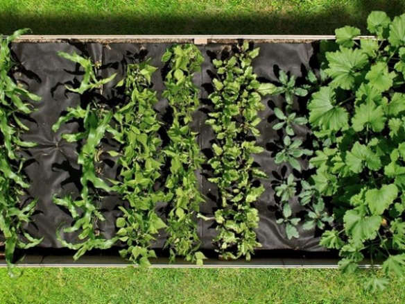 5 ft. x10 ft. Vegetable Seedsheet