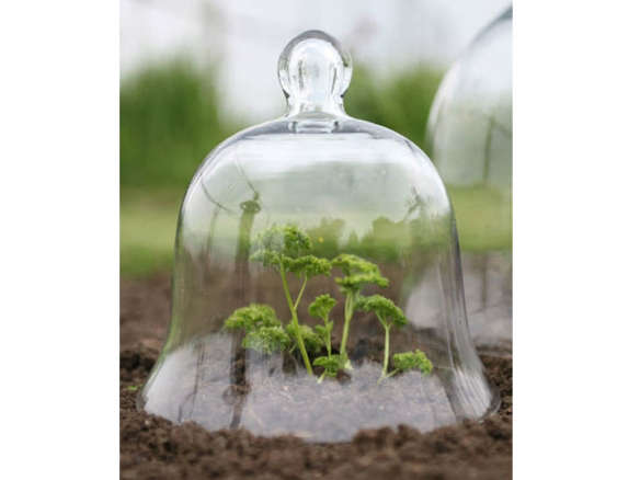 Victorian Style Glass Bell Jar – Small