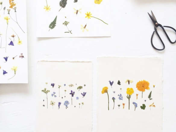 Pressed Flower Artworks from MR Studio London