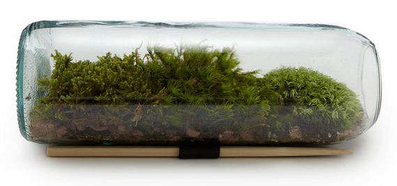 Moss Terrarium Bottle