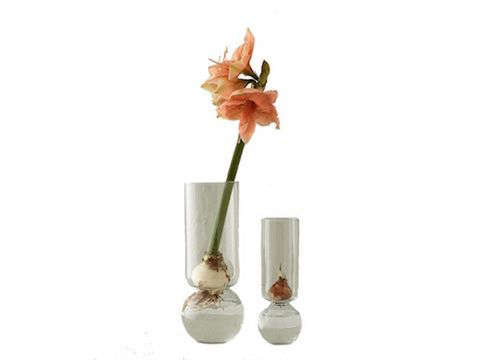 Glass Bulb Vase