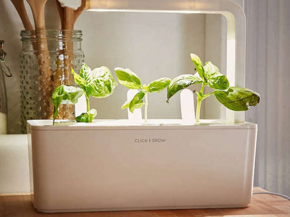 Click and Grow: A Miniature Herb Garden for a Kitchen Countertop