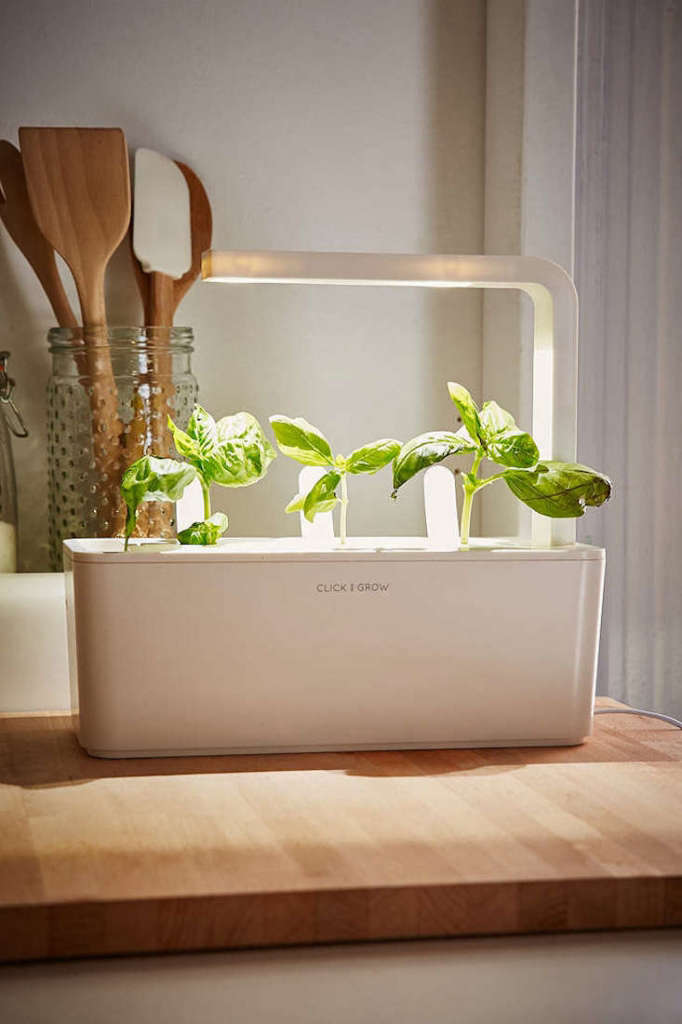Click & Grow Smart Herb Garden Starter Kit: Gardenista