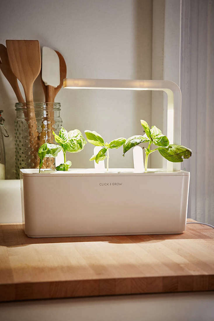 Click And Grow A Miniature Herb Garden For A Kitchen Countertop Gardenista