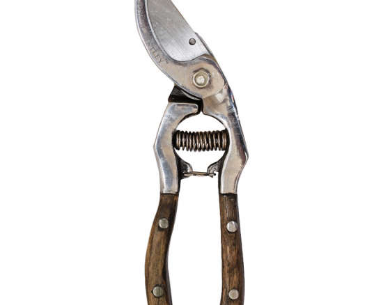8 in. Stainless Steel Bypass Secateurs