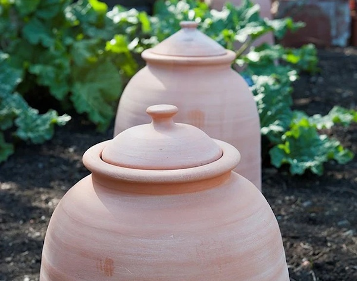 The Terracotta Rhubarb Forcer is made from Turkish clay and available in two sizes, 50 and 60 centimeters tall; £139.99 and £159.99 at Crocus. (The Royal Horticultural Society also carries them.)