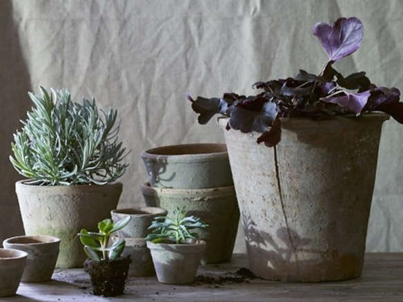 10 Easy Pieces: Mossy Terra Cotta Pots and Planters