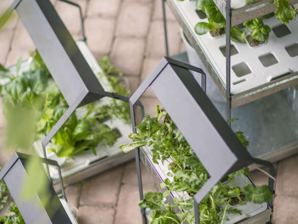 New from Ikea: A Hydroponic Countertop Garden Kit
