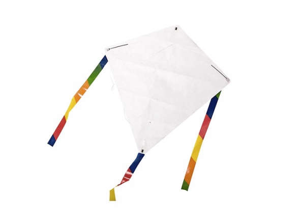 Aerobie Design Your Own Kite