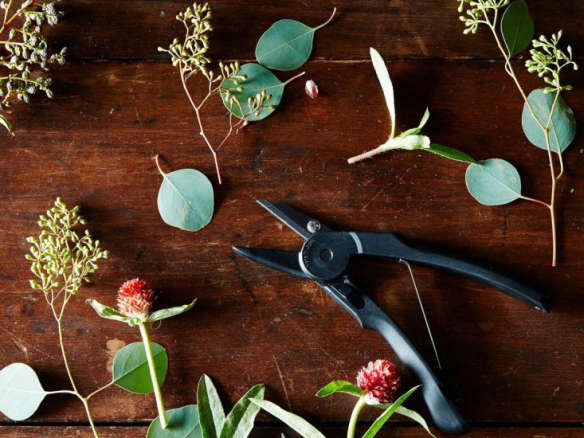 Object of Desire: Japanese Flower Shears at Food52