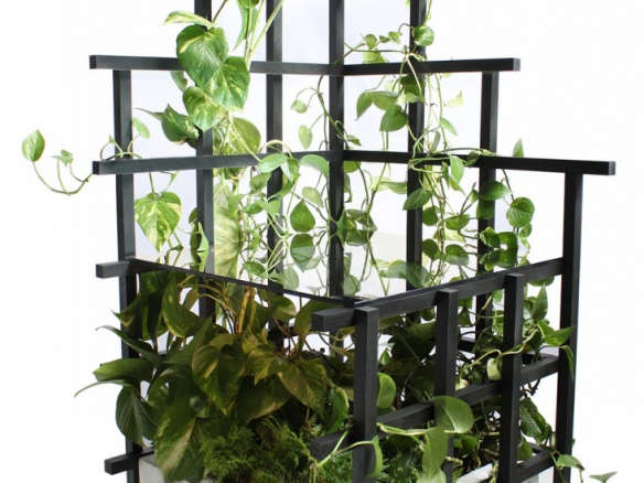 Indoor Vines: Trellis Tables and Shelves from Moonish
