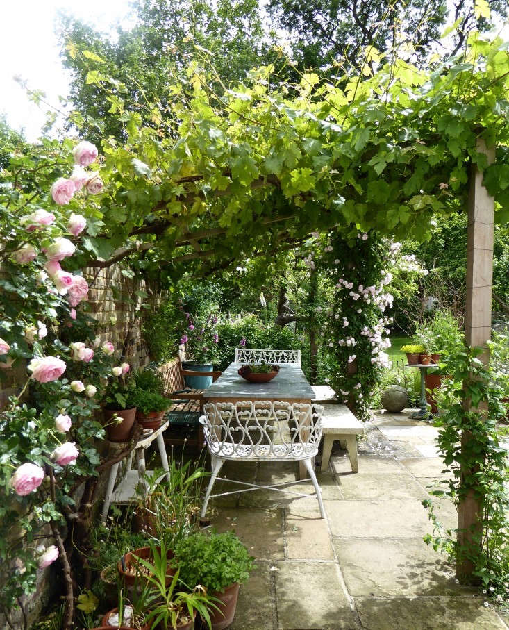 zinc table rose arbor daisy garnett garden london gardenista e1467667577458