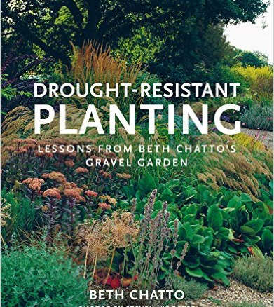 Drought-Resistant Planting: Lessons From Beth Chatto’s Gravel Garden