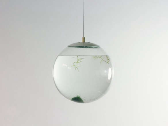 Clear Choice: A Glass Globe Terrarium by Designer Richard Clarkson
