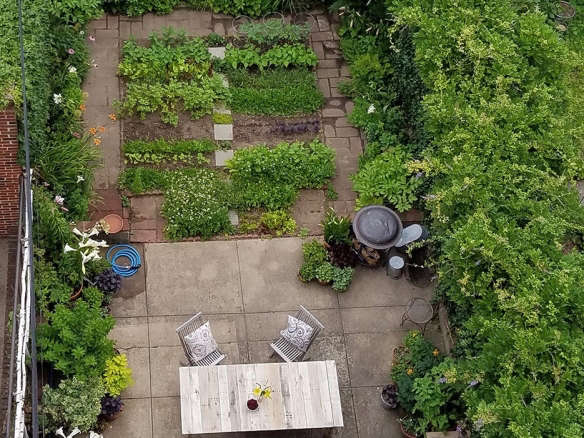 Rehab Diary: A Year in the Life of a Brooklyn Garden