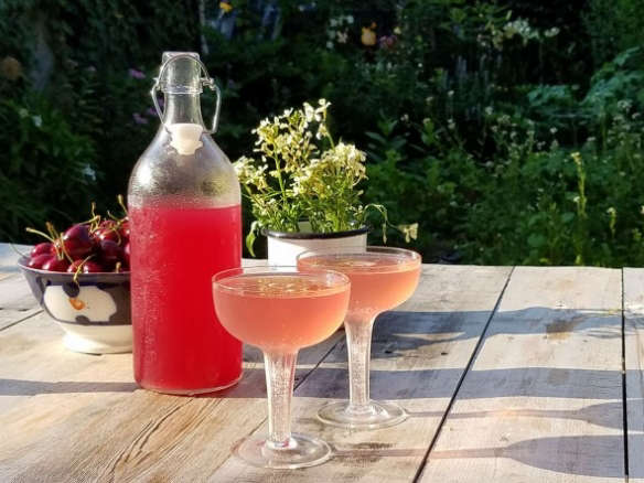 Recipe: Milkweed Flower Cordial Captures Summer in a Glass