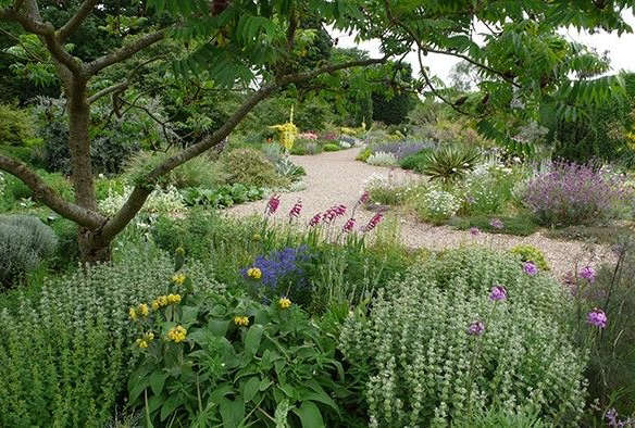Expert Advice: 11 Tips for Gravel Garden Design