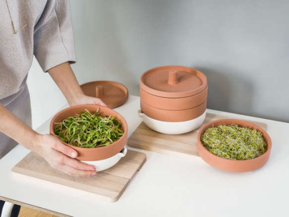 New from Ikea: A Terra Cotta Sprouter to Grow Microgreens