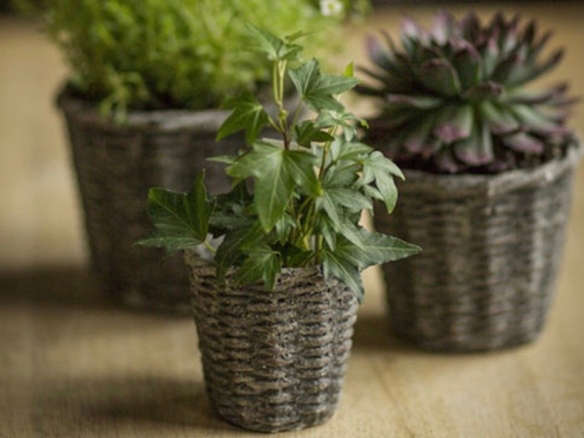 Object of Desire: Basket Weave Concrete Plant Pots