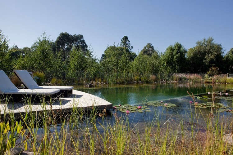 A natural pool at Plane Trees Lodge in Australia has a water depth of 6 1/2 feet. Photograph courtesy of Biotop.
