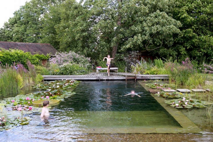 Water World: A Natural Swimming Pool, Lily Pads Included - Gardenista