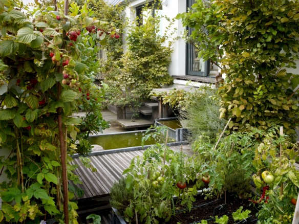 Secret Paris: A Tiny Roof Garden with an Eiffel Tower View