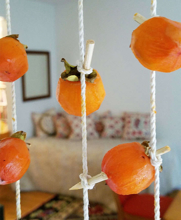 One way of preserving a bountiful persimmon harvest is by drying them to make the Japanese (as well as Chinese and Korean) delicacy known as hoshigaki. Peel the persimmons (this is a sticky process, best achieved with a potato peeler) and suspend them from a string until dry. Nancy Singleton Hachisu&#8\2\17;s Preserving the Japanese Way (\$\26.59 on Amazon) details the method.