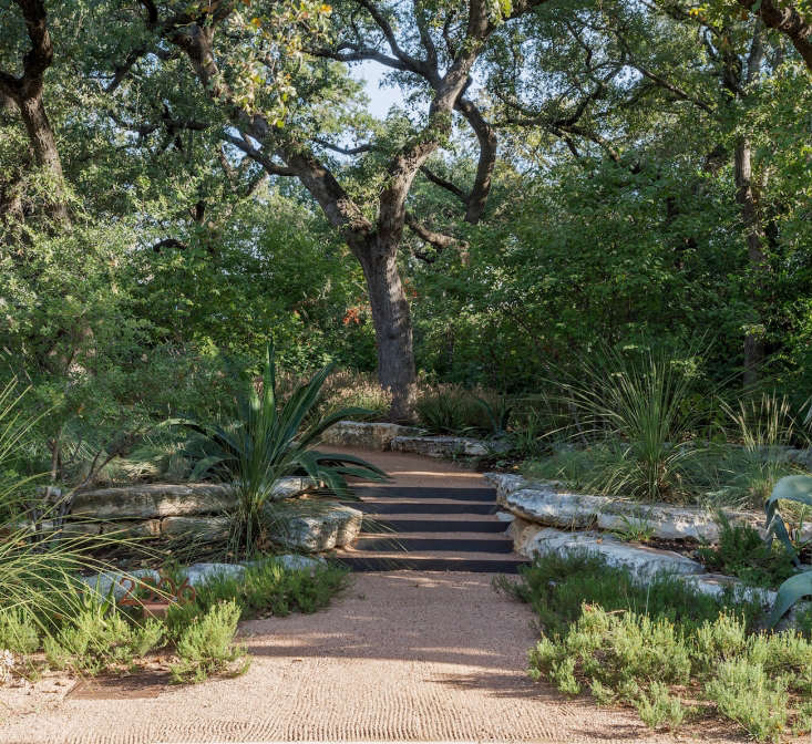 Landscape architect Christine Ten Eyck turned to an ancient technique for conserving water when she built check dams in tiered garden beds (shown) that are equipped to retain rain water and slow the flow of storm water. Photograph by Matthew Williams, from Curb Appeal: \10 Landscaping Ideas for a Low-Water Garden.