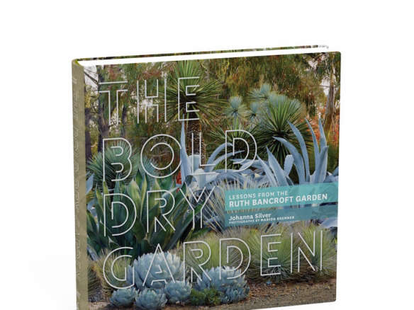 The Bold Dry Garden