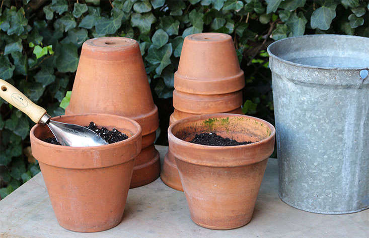 Every year I grow annuals in small terra cotta pots to add spots of color to my garden. Now is the time to empty and clean the pots and stack them upside down.
