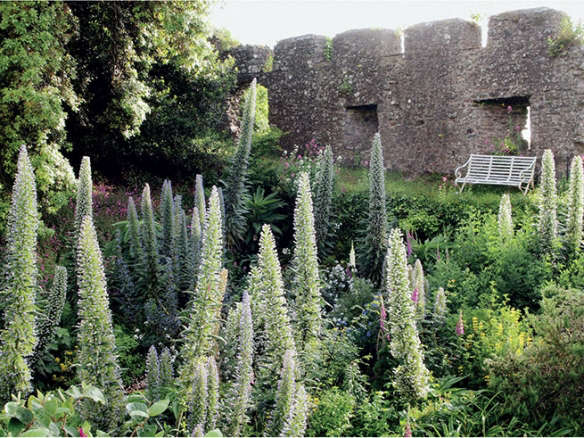 Required Reading: Landscape of Dreams, the Bannermans’ Cornish Castle Garden