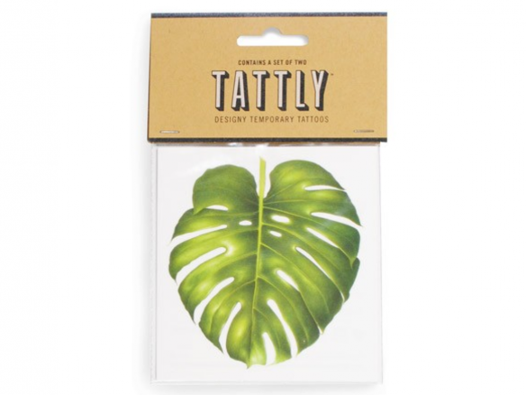 Philodendron Monstera Tattly