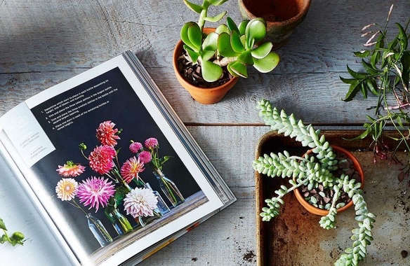 Gift Guide 2016: Best Books on Gardens and the Outdoor Life