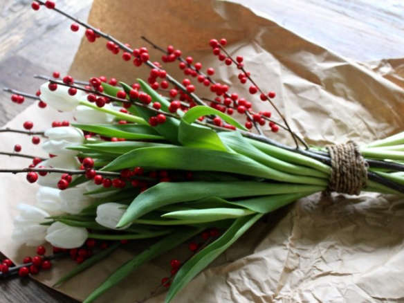 Holiday Tulips and Ilex on the Bulb